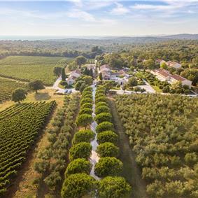 Luxury Villa Estate with 3 Pools on Istrian Vineyards near Bale, sleeps 56-60